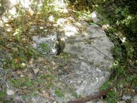 moulin5.jpg