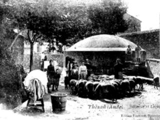 Les moutons à la source