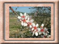 NAT2003_0314AA.JPG